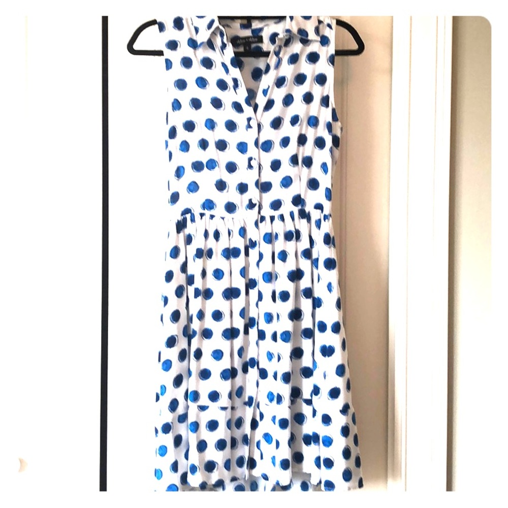 Alex & Alex polka dot button down dress